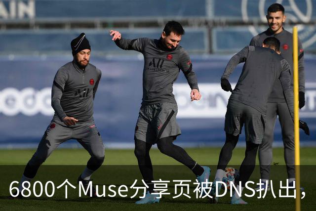 6800个Muse分享页被DNS扒出，Meta紧急暂停